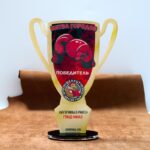 Приз индивидуальный кубок по боксу H27CM PIKB27