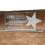 Нагорода зі скла Зірка 10x21см GLZ10210