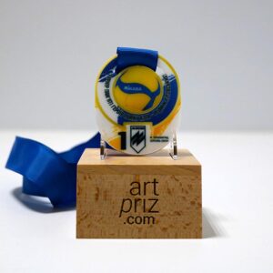 Медаль з волейболу Пам'яті Героїв Полку АЗОВ 70мм АРТПРИЗ MAPGA7