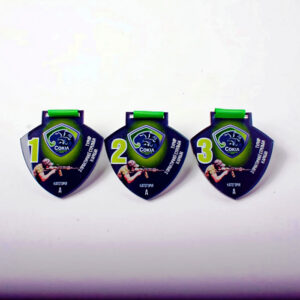 Медаль акрилова зі стрільби "Кабан, що біжить" Розмір 7х7см MKB773