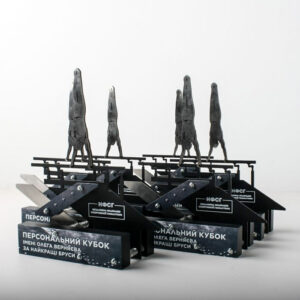 Нагорода Спортивна Гімнастика Персональний кубок імені Олега Верняєва 19х21см АРТПРИЗ NISGV21