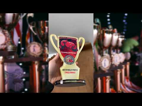 Приз індивідуальний Кубок з боксу h27cm PIKB27