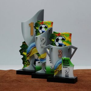 Кубок нагородний для Футболу за 2 місце ДИТЯЧИЙ ВЕСНЯНИЙ ЧЕМПІОНАТ Ф.Л.А.Г. 13x25см 1018NS3