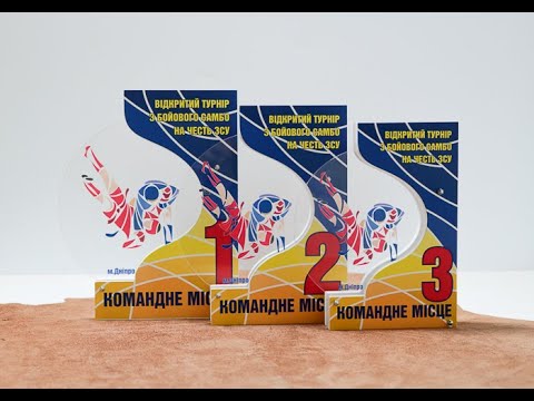 Приз Нагорода для турниру з Бойового Самбо за командні місця 20x26см АРТПРИЗ 887S3