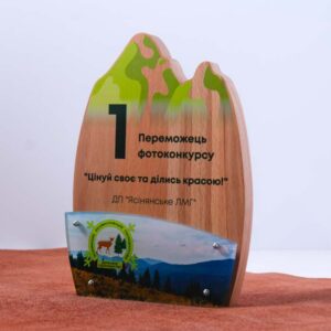 Нагорода для фотоконкурса NDAYL Висота 25см NDAYL25