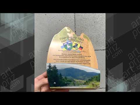 Корпоративна Нагорода Висота 25см 6038N1