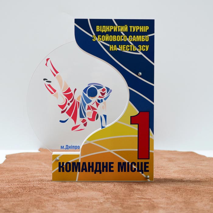 Приз індивідуальний школа ММА 22x17см 54N23
