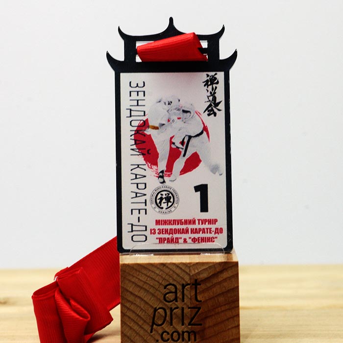 Медаль МЕЖКЛУБНЫЙ турнир по ЗЕНДОКАЙ каратэ-до размер 95х70мм 1966М23