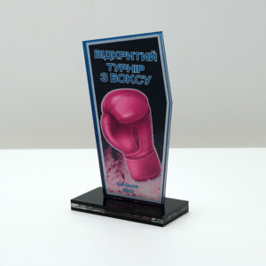 Приз для нагородження ВІДКРИТИЙ ТУРНІР З БОКСУ 10x17см АРТПРИЗ 2622N3