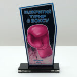 Приз для нагородження ВІДКРИТИЙ ТУРНІР З БОКСУ 10x17см АРТПРИЗ 2622N3