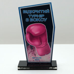 Приз для нагородження ВІДКРИТИЙ ТУРНІР З БОКСУ 10x17см АРТПРИЗ 2622N3