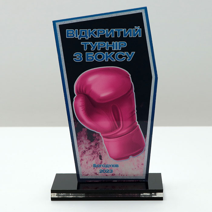 Приз для нагородження ВІДКРИТИЙ ТУРНІР З БОКСУ 10x17см АРТПРИЗ 2622N3