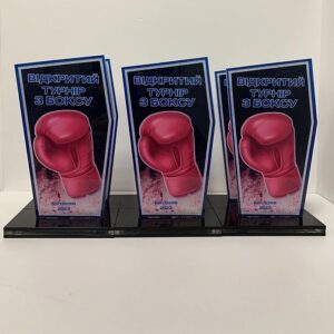 Приз для нагородження ВІДКРИТИЙ ТУРНІР З БОКСУ 10x17см АРТПРИЗ 2622N3