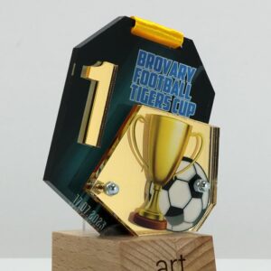 Медаль футбольна BROVARY FOOTBALL TIGERS CUP 8X9см АРТПРИЗ 3543M3