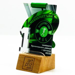 Медаль для Футзалу MEGASPORT LIGA 6,5x7см 3785M3