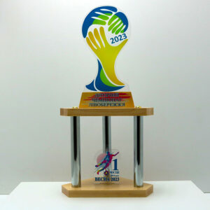 Кубок Футбольний на колонах з акрилом Весна 2023 25x50см АРТПРИЗ 2799N3