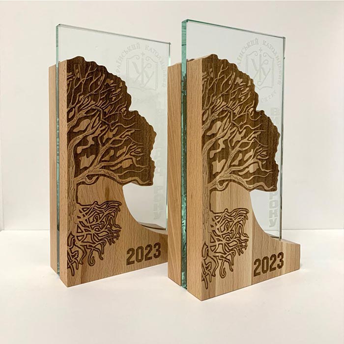 Нагорода з Дерева та Скла  ВИКЛАДАЧ РОКУ 11x21см АРТПРИЗ 2602N3
