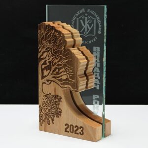 Нагорода з Дерева та Скла  ВИКЛАДАЧ РОКУ 11x21см АРТПРИЗ 2602N3