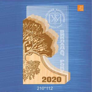 Нагорода з Дерева та Скла  ВИКЛАДАЧ РОКУ 11x21см АРТПРИЗ 2602N3