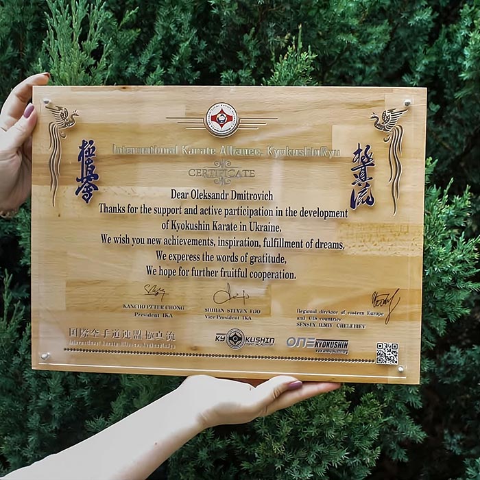 Диплом International Karate размер 42х31см DDA42