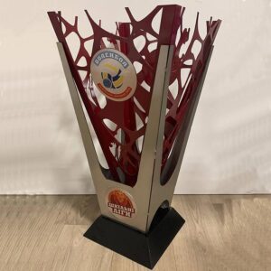 Кубок Волейбол Львівська Шкільна Ліга АРТПРИЗ 1983VS2