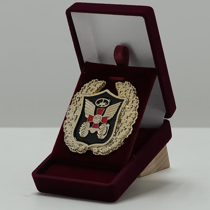 Орден Литий Автомобільні Війська ЗСУ 50х50 мм 5001O23