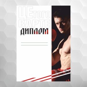 Диплом №19 бокс, формат А4