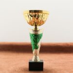 Кубок нагородний FAVOR1 без місця під жетон Висота 26см