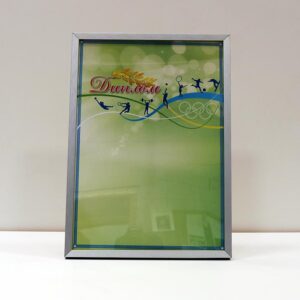 Фоторамка з алюмінію матова срібна 21х30 (А4) Для фото, дипломів, сертифікатів, грамот RABSА4