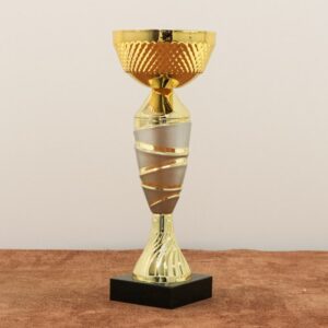 Кубок нагородний K6020A Висота 29см, D чаші 120мм