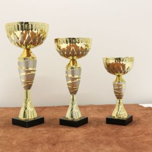 Кубок нагородний K6021C Висота 21см, D чаші 100мм