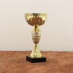 Кубок нагородний K6021C Висота 21см, D чаші 100мм