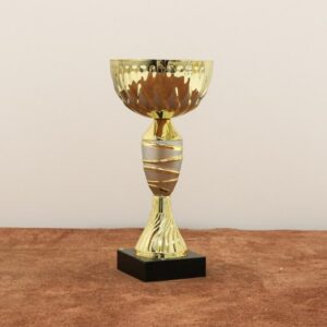 Кубок нагородний K6021C Висота 21см, D чаші 100мм