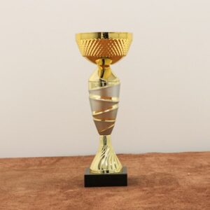 Кубок нагородний K6020C Висота 17см, D чаші 70мм