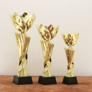 Кубок нагородний K6017B Висота 32см, D чаші 120мм