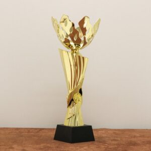 Кубок нагородний K6017B Висота 32см, D чаші 120мм