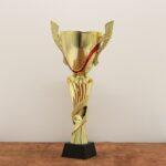Кубок наградной K6019C Высота 34см, D чаши 100мм