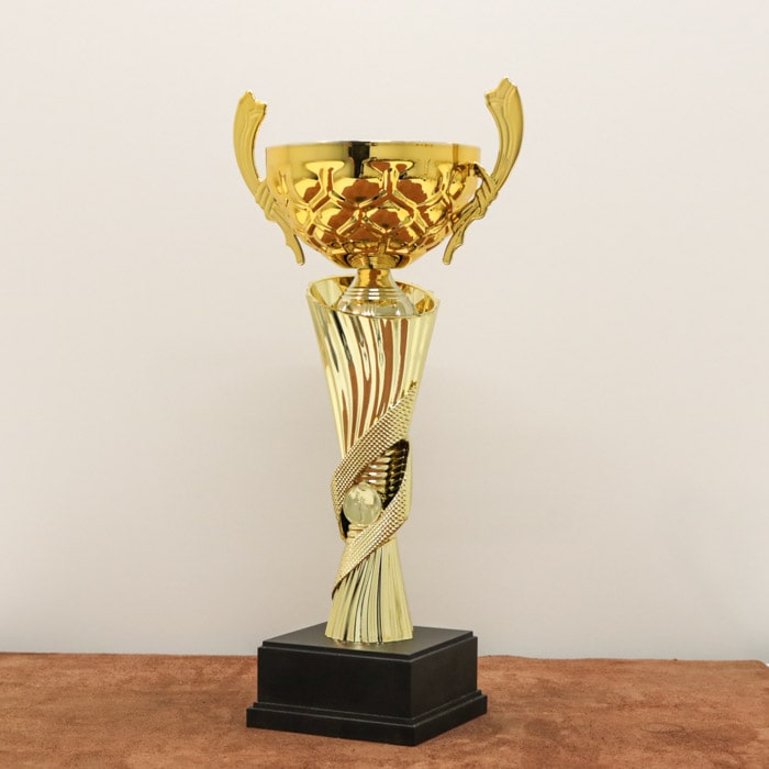 Кубок нагородний K6016C Висота 30см, D чаші 100мм