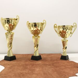 Кубок нагородний K6018C Висота 35см, D чаші 120мм