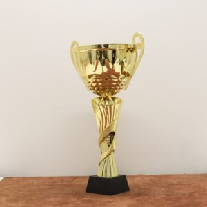 Кубок нагородний K6018C Висота 35см, D чаші 120мм