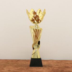 Кубок нагородний K6017C Висота 28см, D чаші 120мм