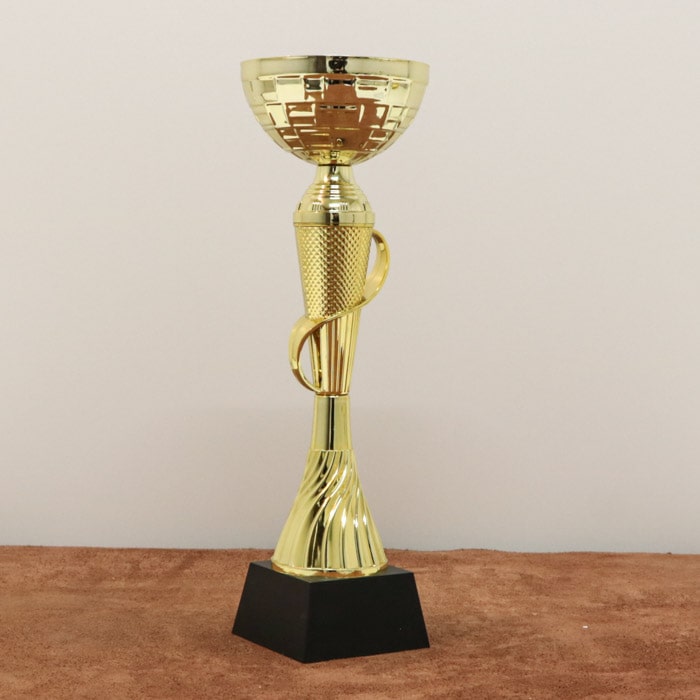 Кубок нагородний K6010В Висота 31см, D чаші 120мм