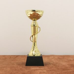 Кубок нагородний K6010С Висота 24см, D чаші 80мм