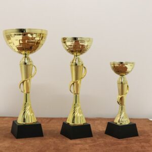 Кубок нагородний K6010С Висота 24см, D чаші 80мм