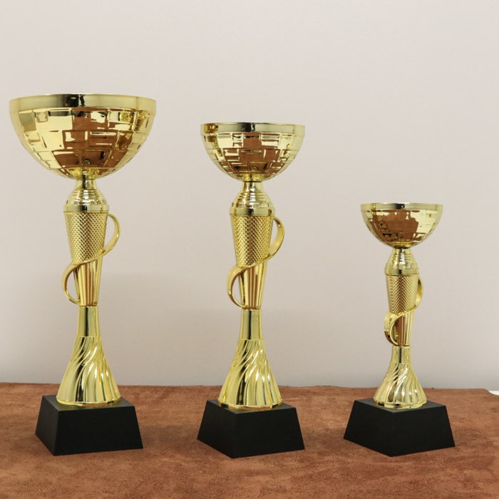 Кубок нагородний K6010С Висота 24см, D чаші 80мм