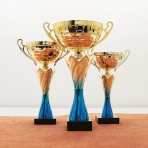 Кубок нагородний K6039C Чаша D12см Висота 26см