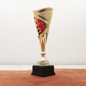 Кубок нагородний K6035C Чаша D13см Висота 36см