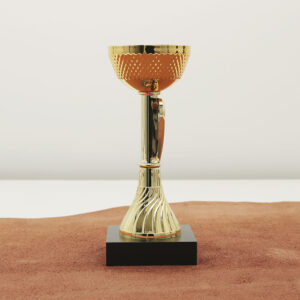 Кубок нагородний 6023B Чаша D7см Висота 18см