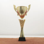 Кубок нагородний K6031C Чаша D10см Висота 36см