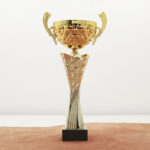 Кубок нагородний K6033C Чаша D10см Висота 30см